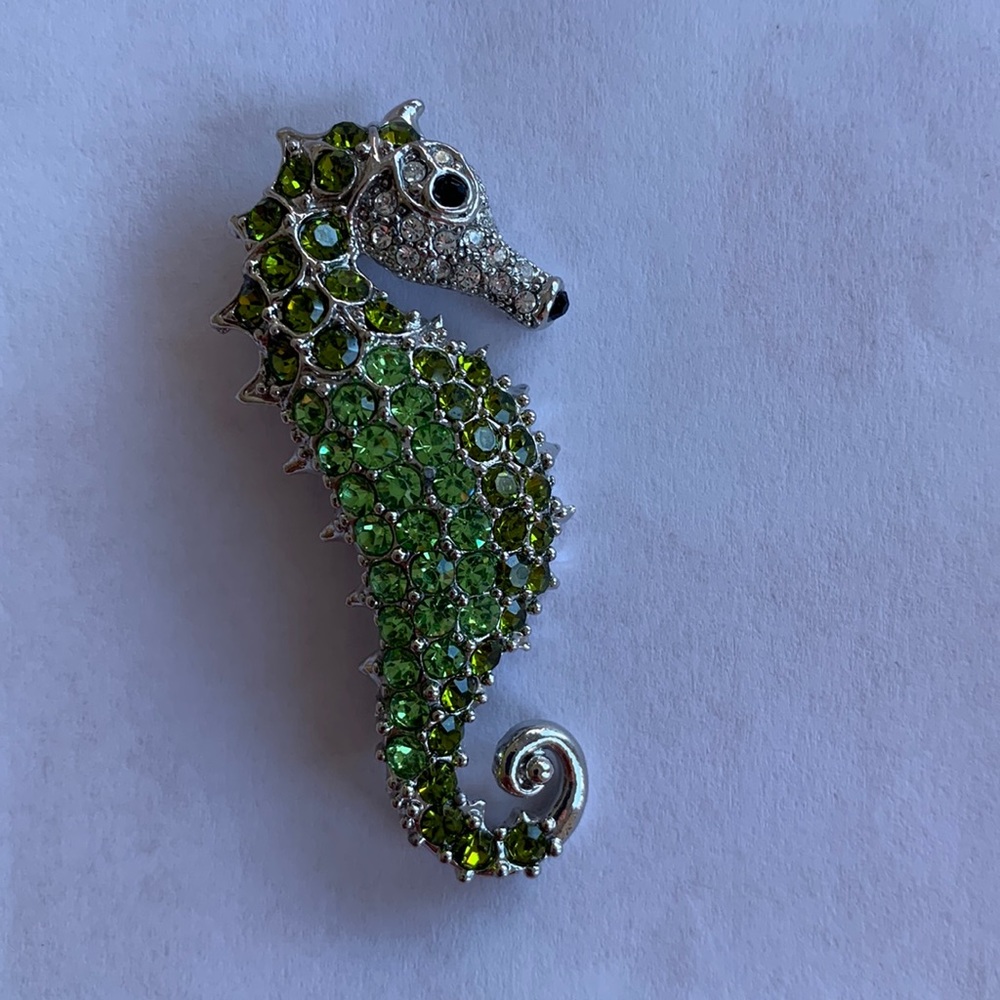 Seahorse broach